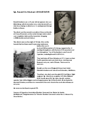 A preview of a PDF biography for Nineham, Ronald Eric